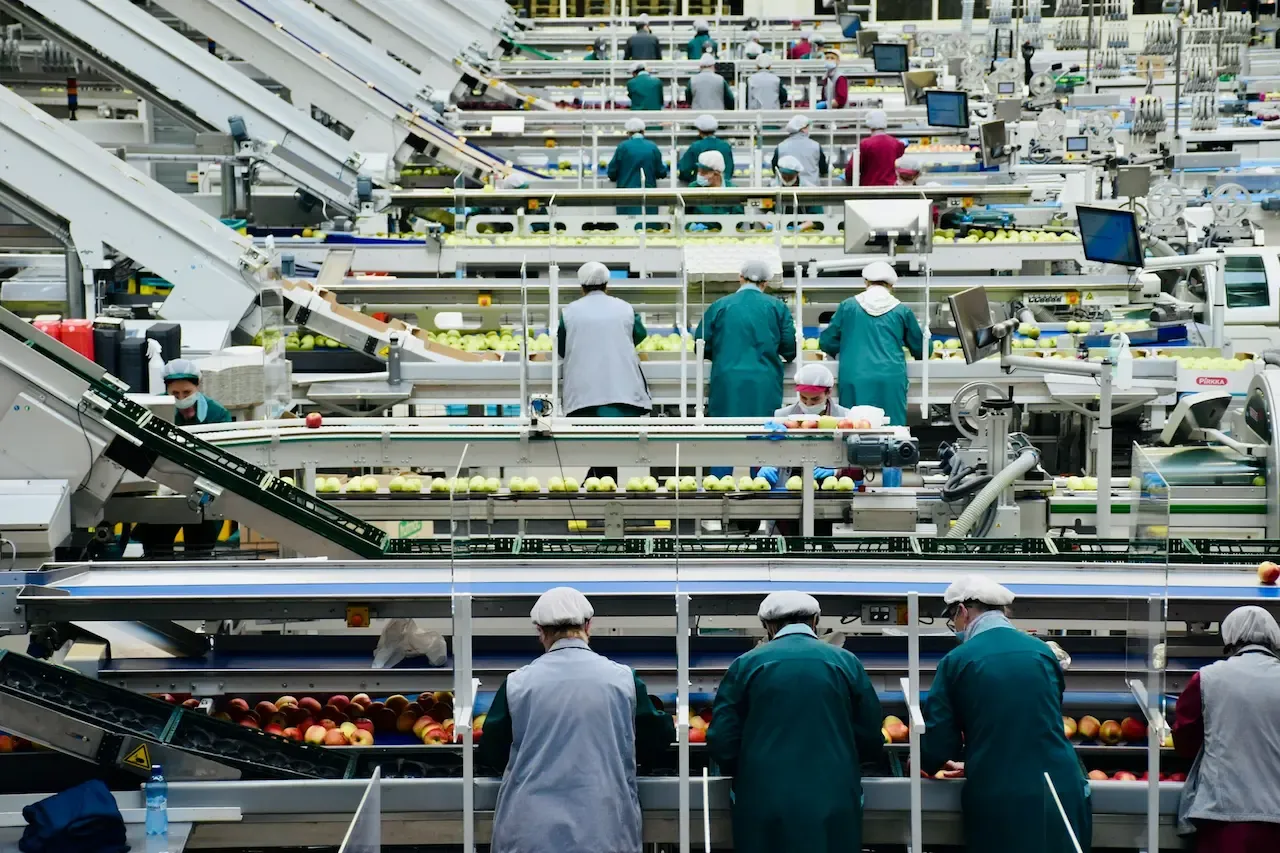 Alimentación